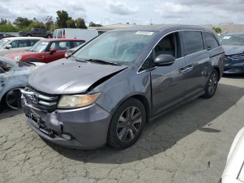  Salvage Honda Odyssey