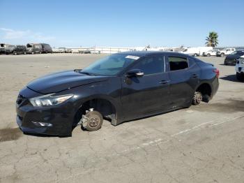  Salvage Nissan Maxima