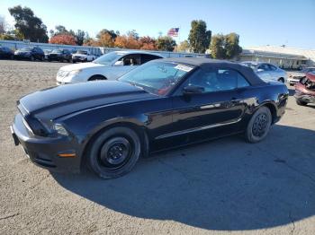  Salvage Ford Mustang