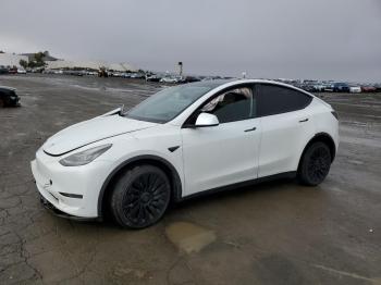  Salvage Tesla Model Y