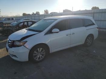  Salvage Honda Odyssey