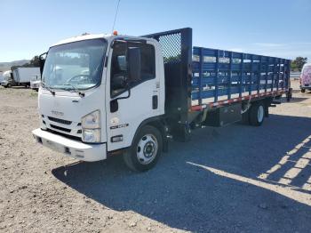  Salvage Isuzu Nrr