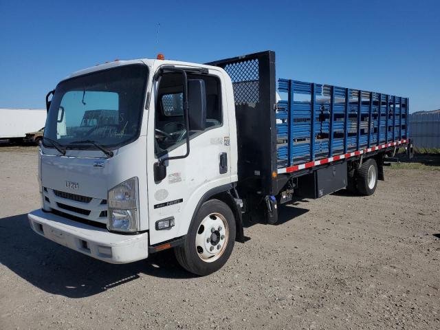  Salvage Isuzu Nrr