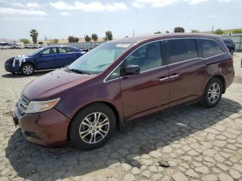  Salvage Honda Odyssey
