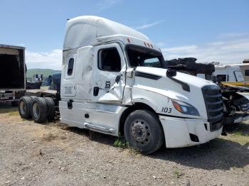  Salvage Freightliner Cascadia 1