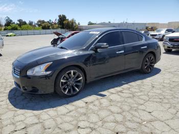  Salvage Nissan Maxima