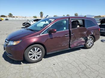  Salvage Honda Odyssey