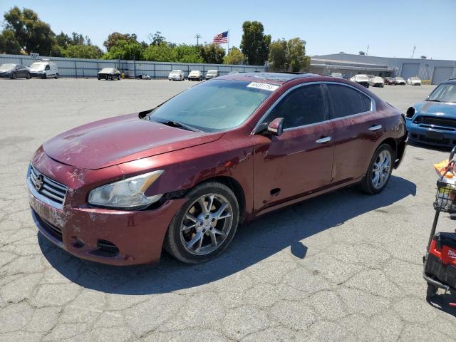  Salvage Nissan Maxima