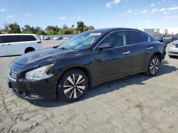  Salvage Nissan Maxima