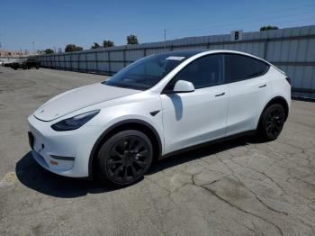  Salvage Tesla Model Y