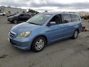  Salvage Hond Odyssey Ex