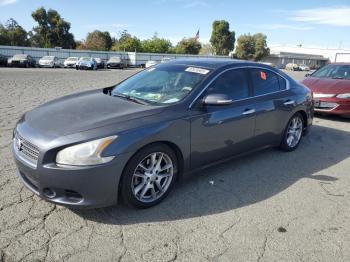  Salvage Nissan Maxima