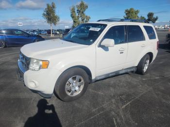  Salvage Ford Escape
