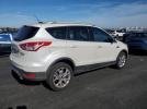 Ford Escape Titanium Image 5