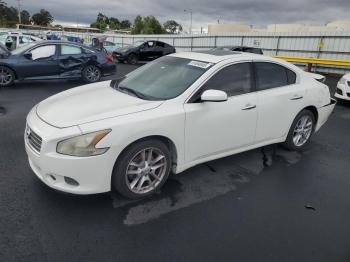  Salvage Nissan Maxima