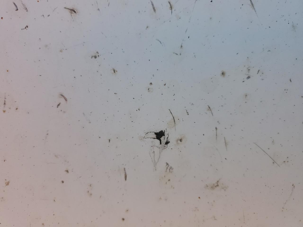 Wabash Other Image 9