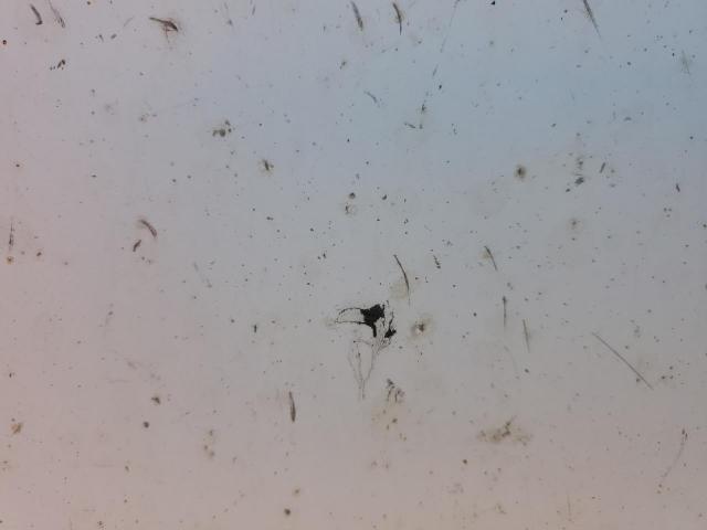 Wabash Other Image 9