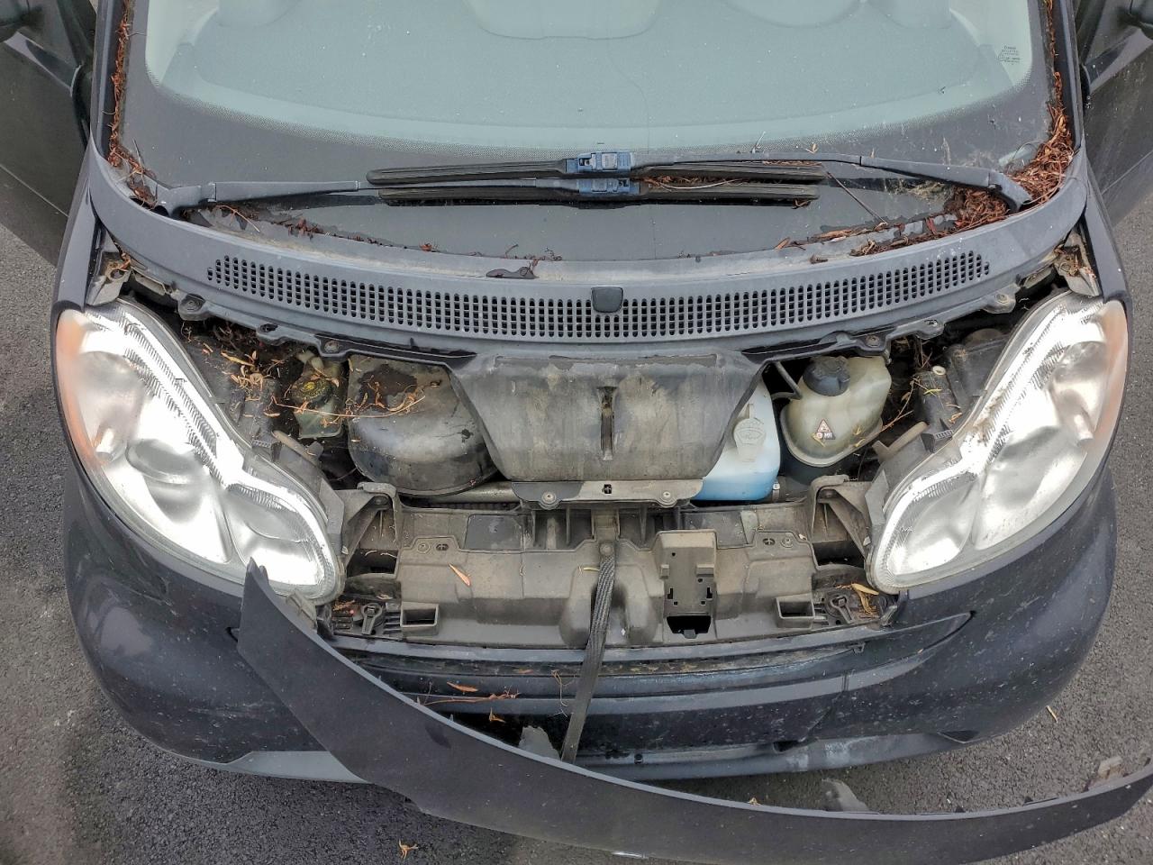 Smart fortwo Pure Image 12