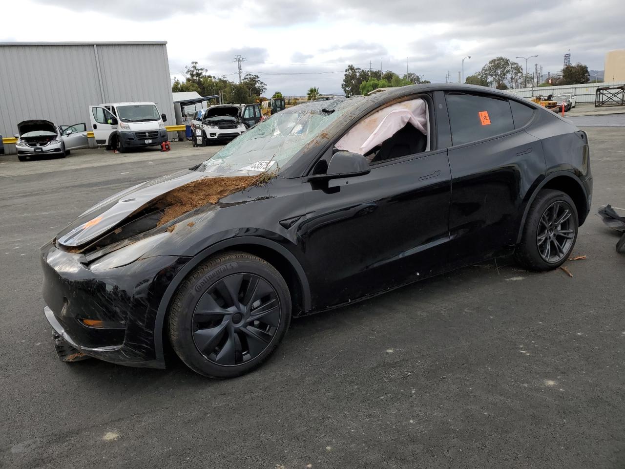 Tesla Model Y Image 1