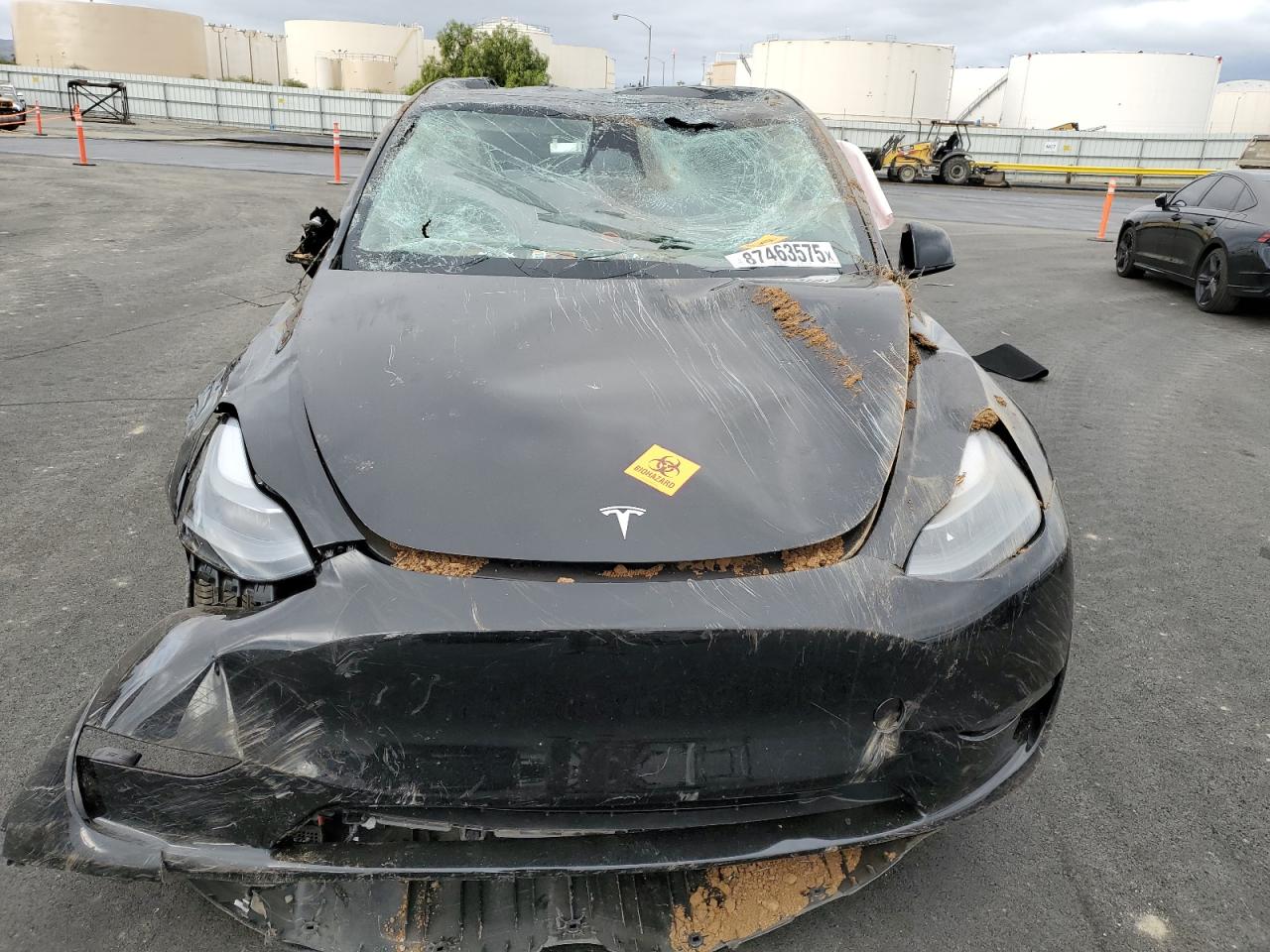 Tesla Model Y Image 4