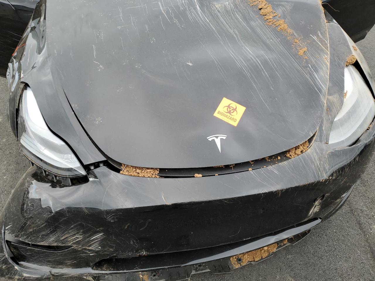 Tesla Model Y Image 7