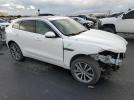 Jaguar F-PACE R-dynamic S Image 2