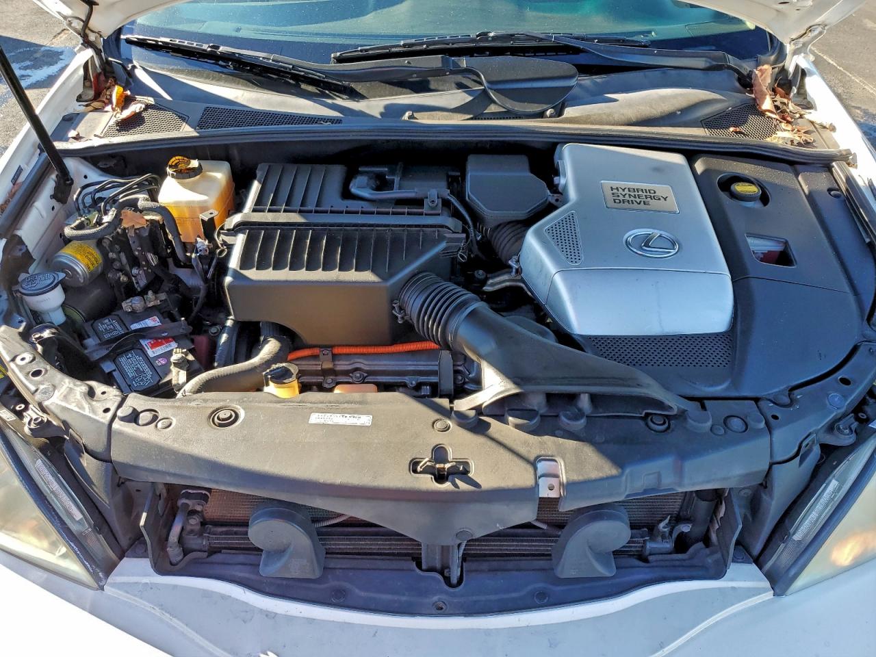 Lexus RX 400 Image 7