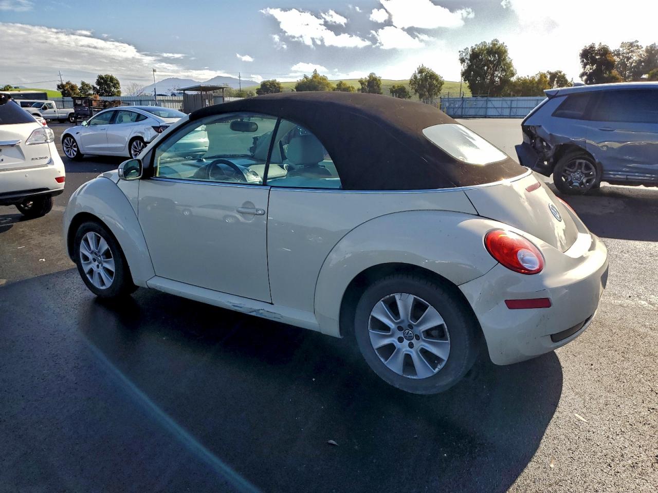 Volkswagen Beetle Image 2