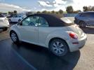 Volkswagen Beetle Image 2