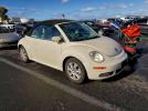 Volkswagen Beetle Image 12