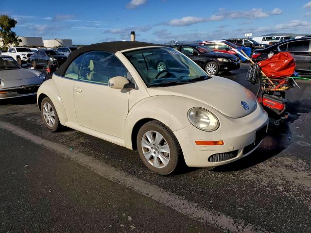 Volkswagen Beetle Image 12