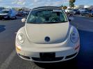 Volkswagen Beetle Image 3