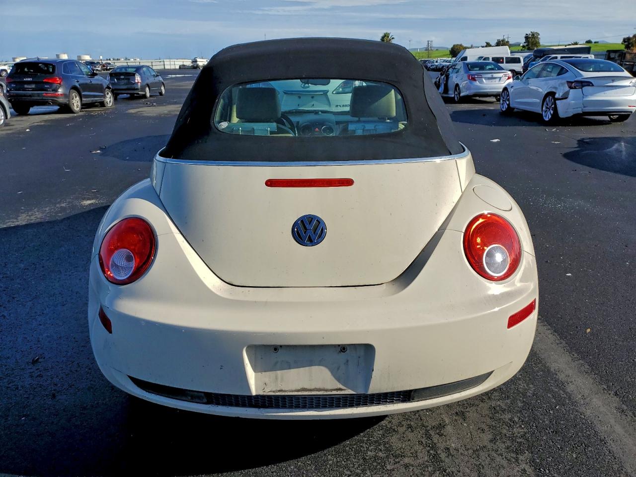 Volkswagen Beetle Image 10