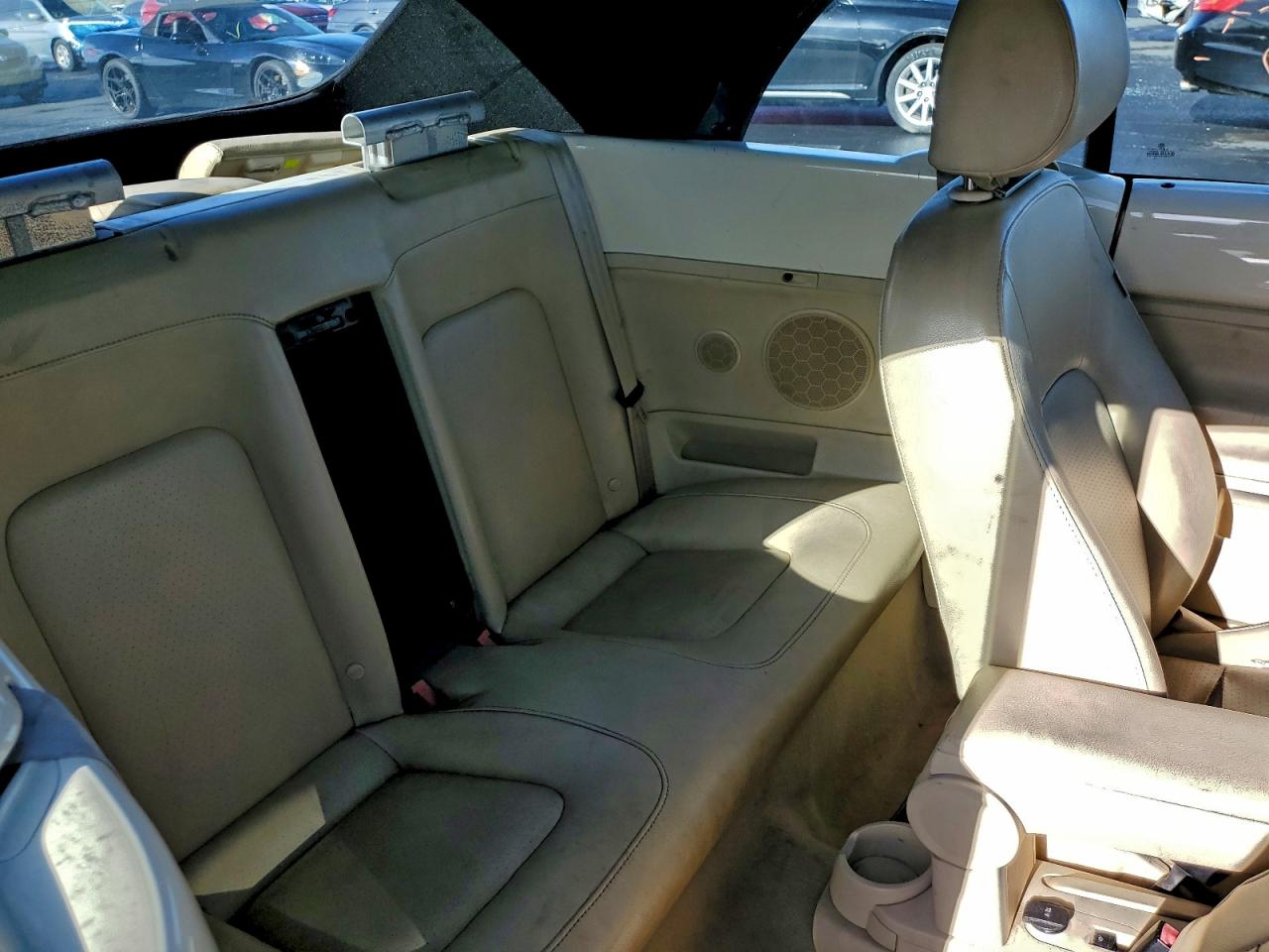 Volkswagen Beetle Image 9