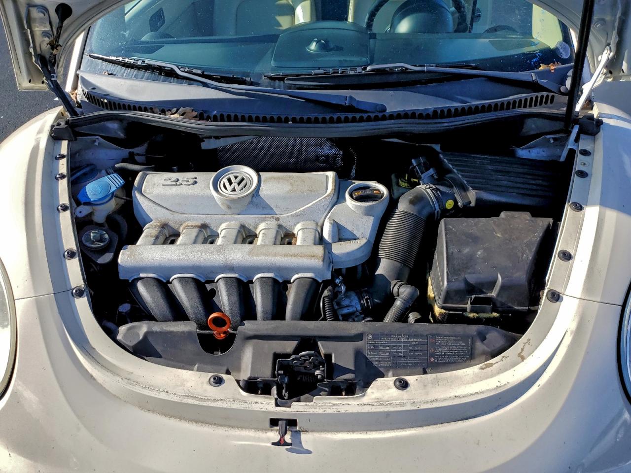 Volkswagen Beetle Image 6