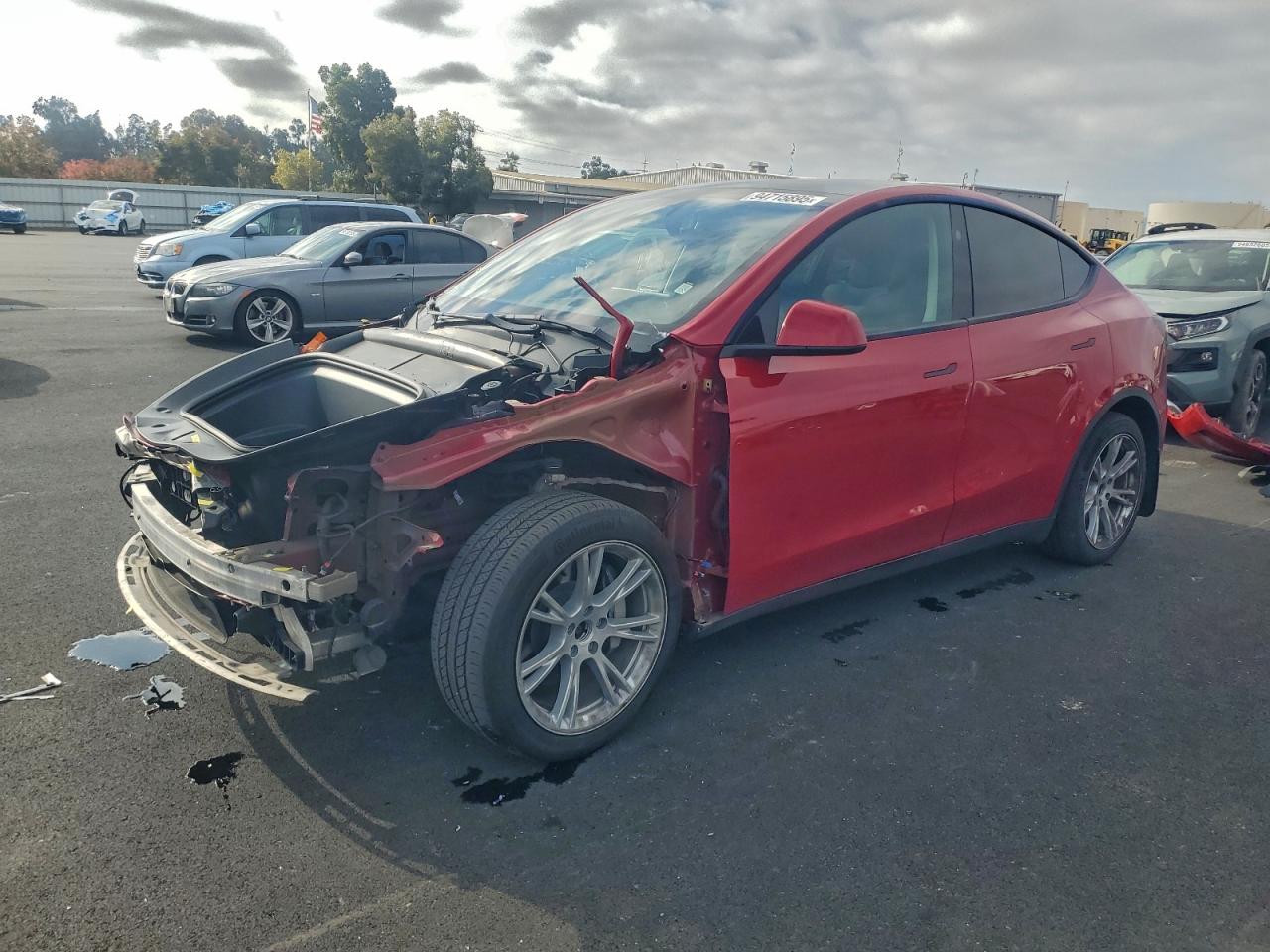 Tesla Model Y Image 1
