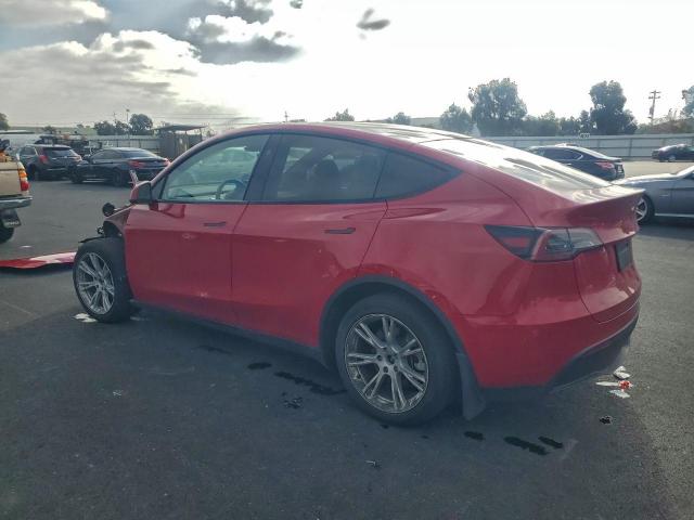Tesla Model Y Image 2