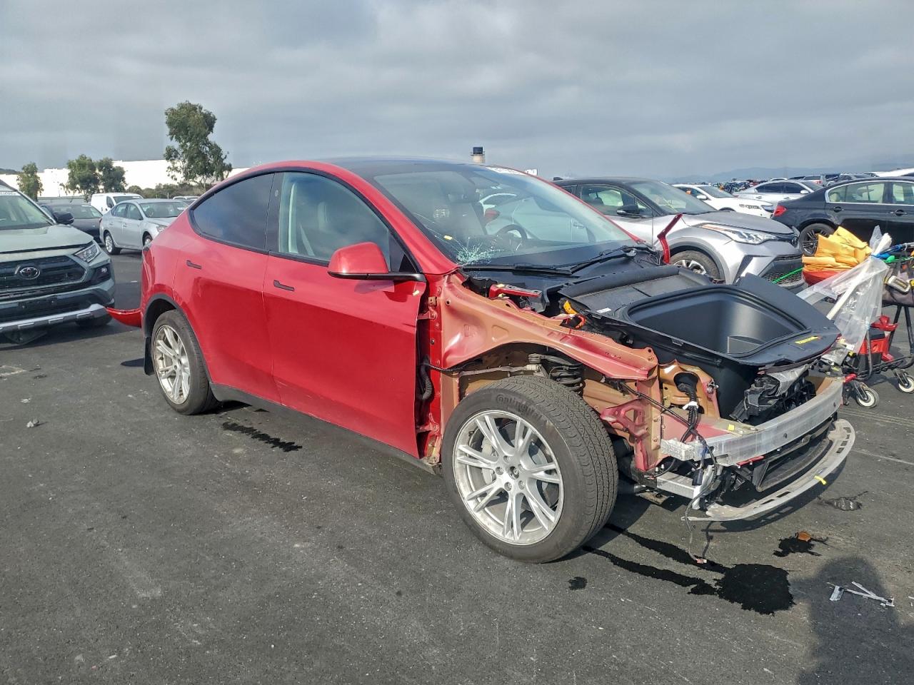 Tesla Model Y Image 12