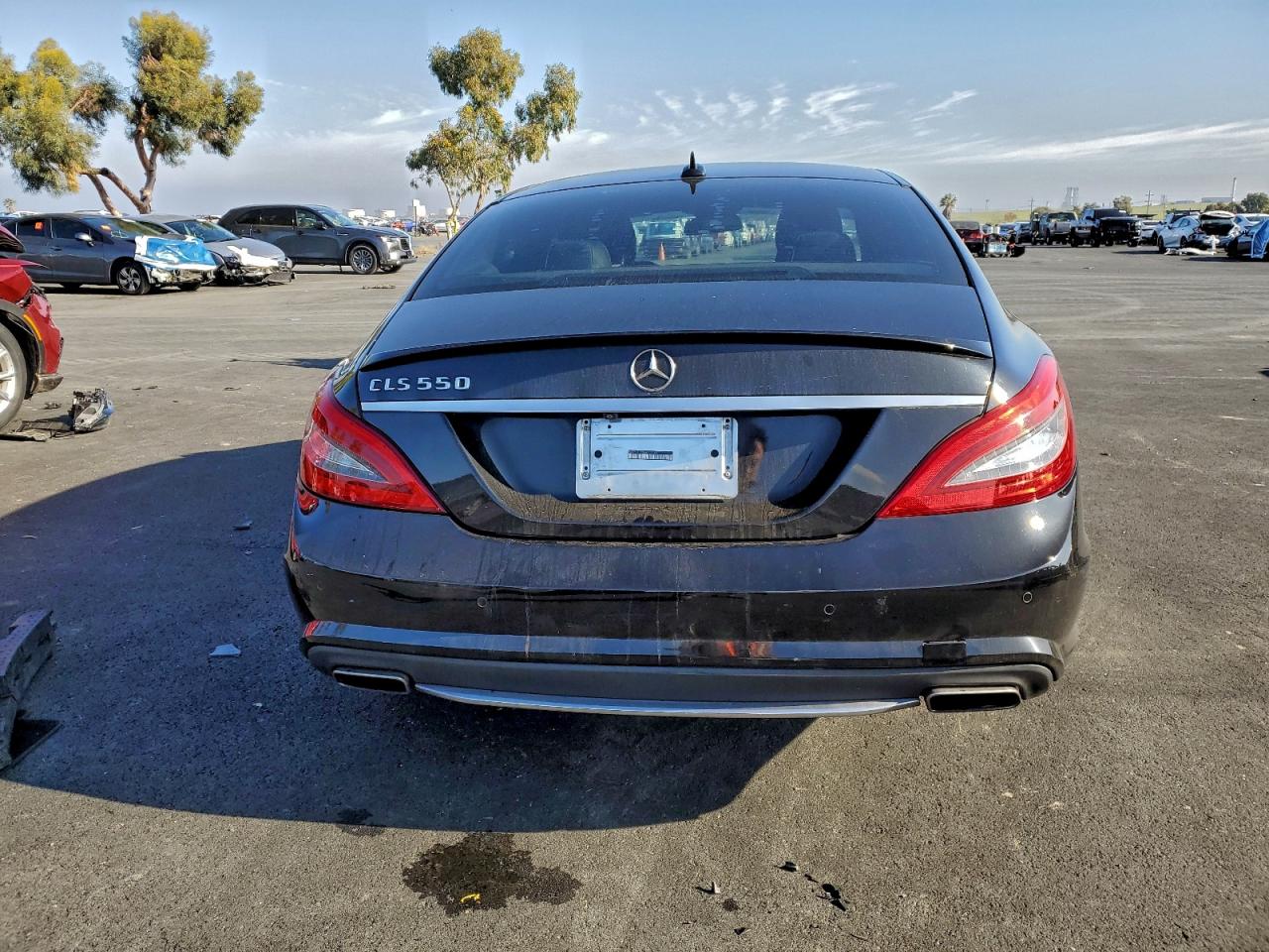 Mercedes-Benz Cls-class 550 Image 7