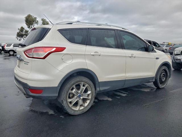 Ford Escape Titanium Image 6