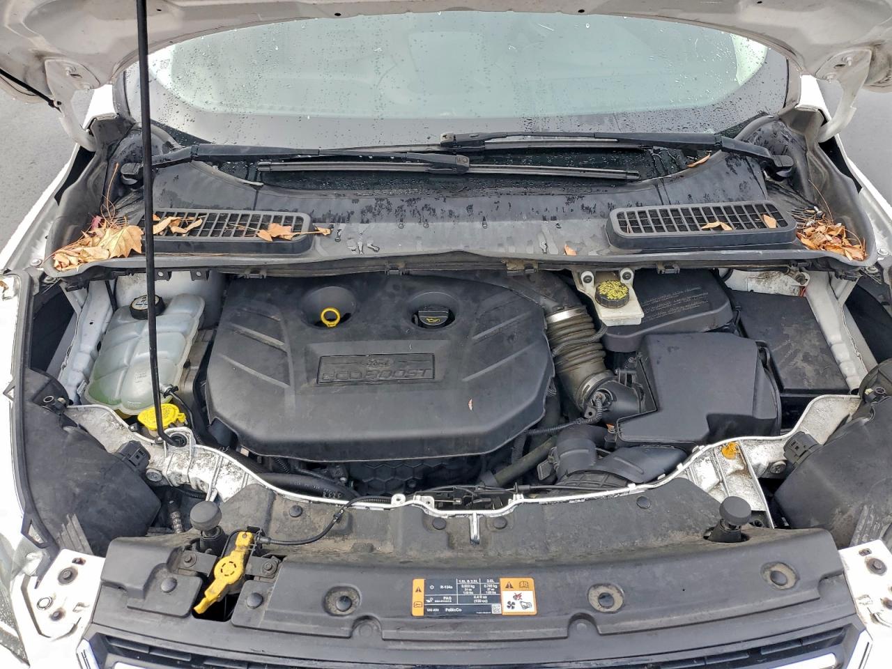 Ford Escape Titanium Image 5