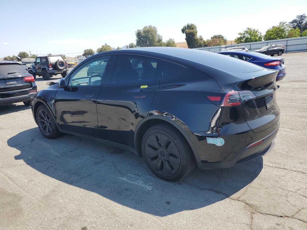 Tesla Model Y Image 13