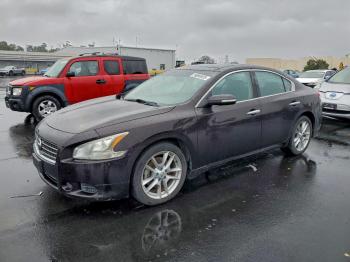  Salvage Nissan Maxima