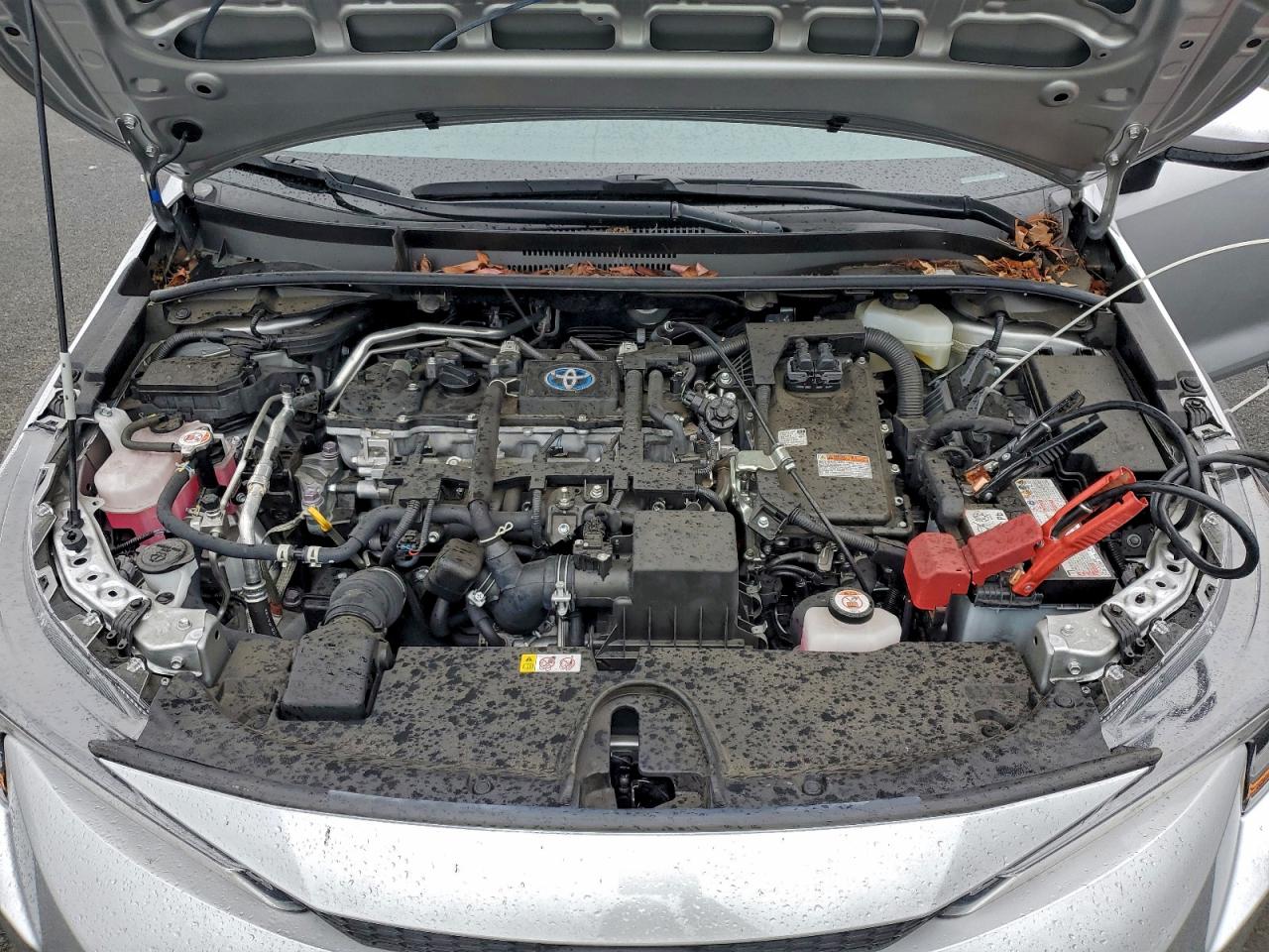 Toyota Corolla Le Image 2