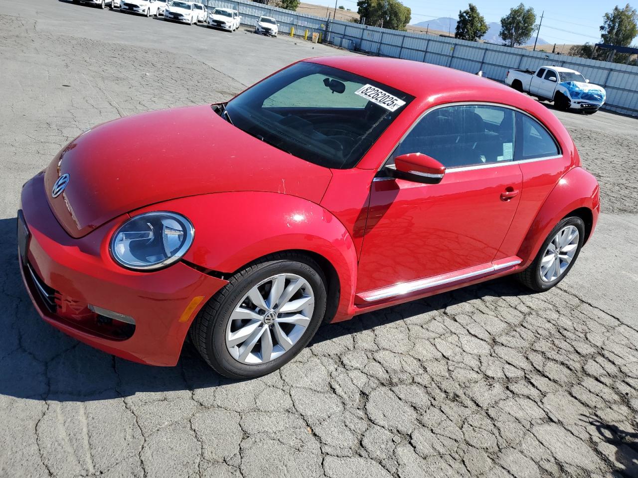Volkswagen Beetle Image 1