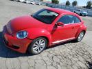 Volkswagen Beetle Image 1