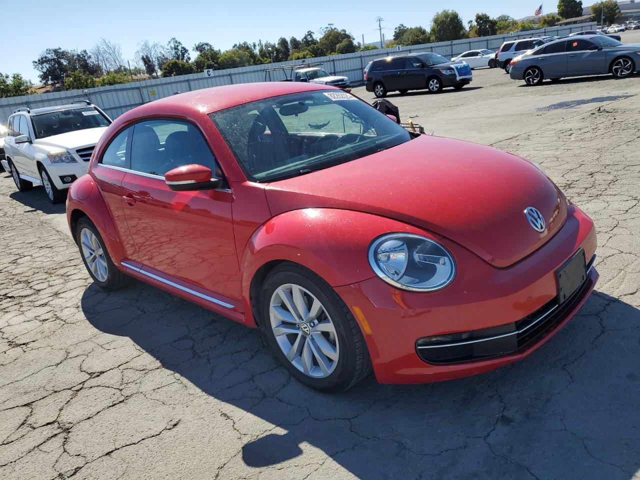 Volkswagen Beetle Image 7