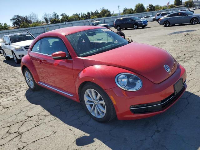 Volkswagen Beetle Image 7