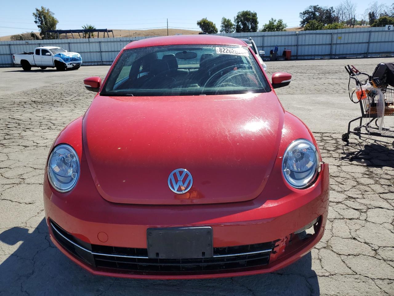 Volkswagen Beetle Image 6