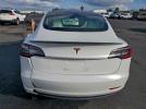 Tesla Model 3 Image 6